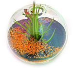 terrarium 150x141 OTO Events September 15 21