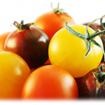 tomatoes 150x150 OTO Events September 22 28