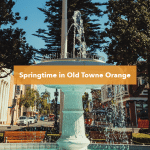 Orange Plaza park Fountain